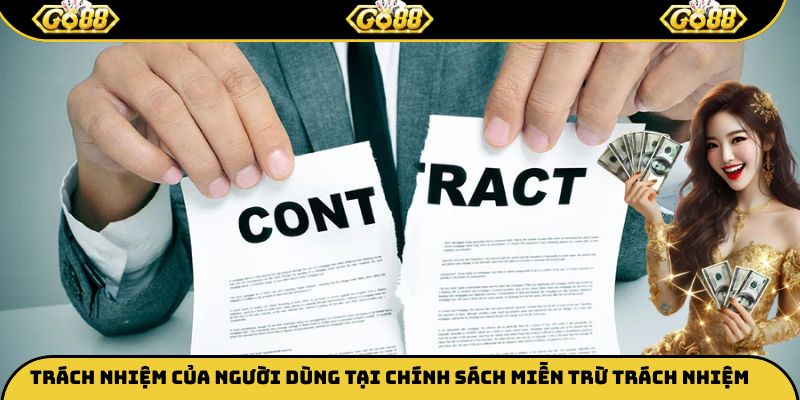 Trách nhiệm của người dùng tại chính sách miễn trừ trách nhiệm